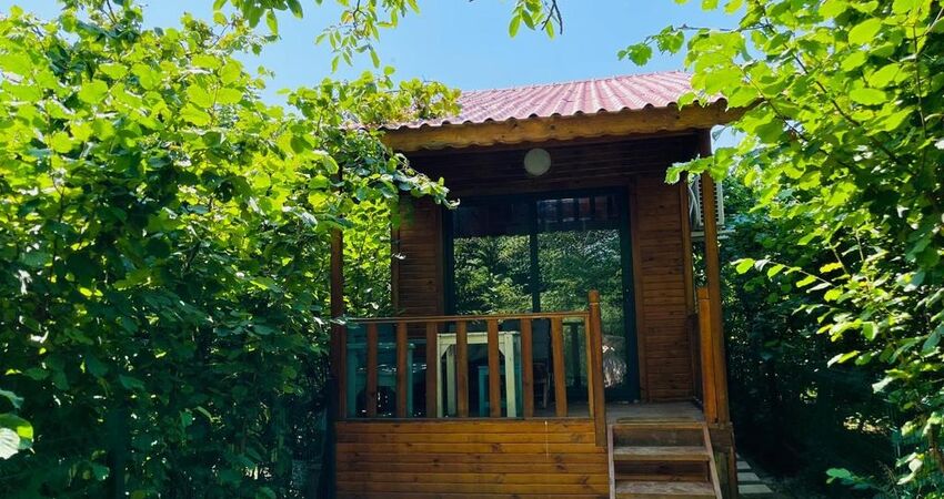 Ağva Fındık Kabuğu Villa