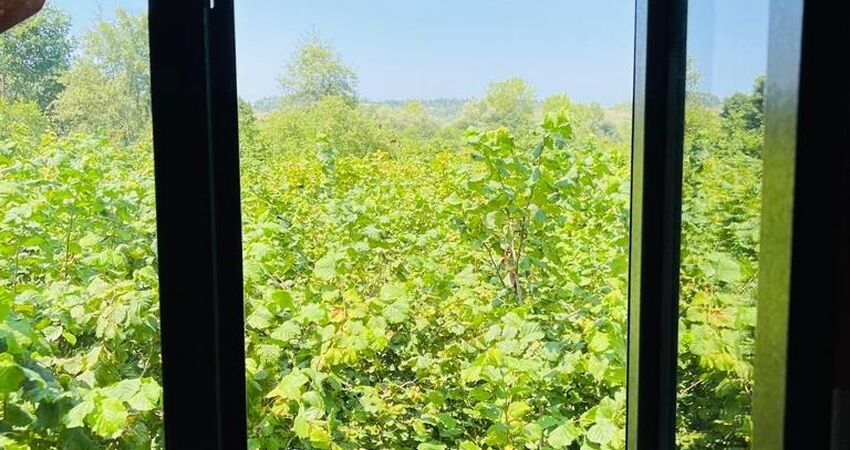 Ağva Fındık Kabuğu Villa